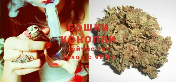 прущие крисы Аркадак