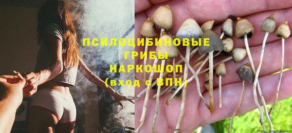 ALPHA-PVP Алексин